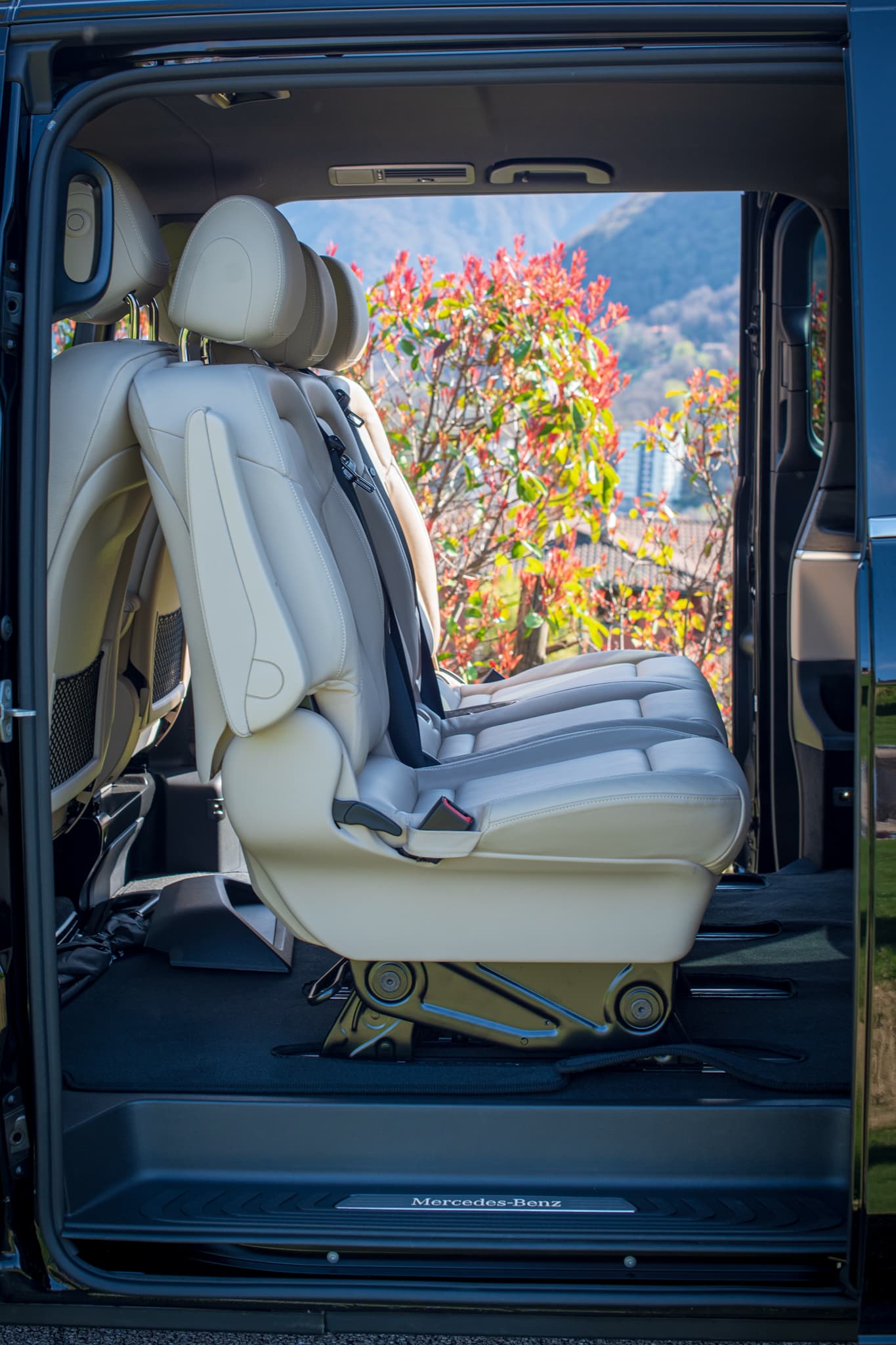 Van Business - image 7